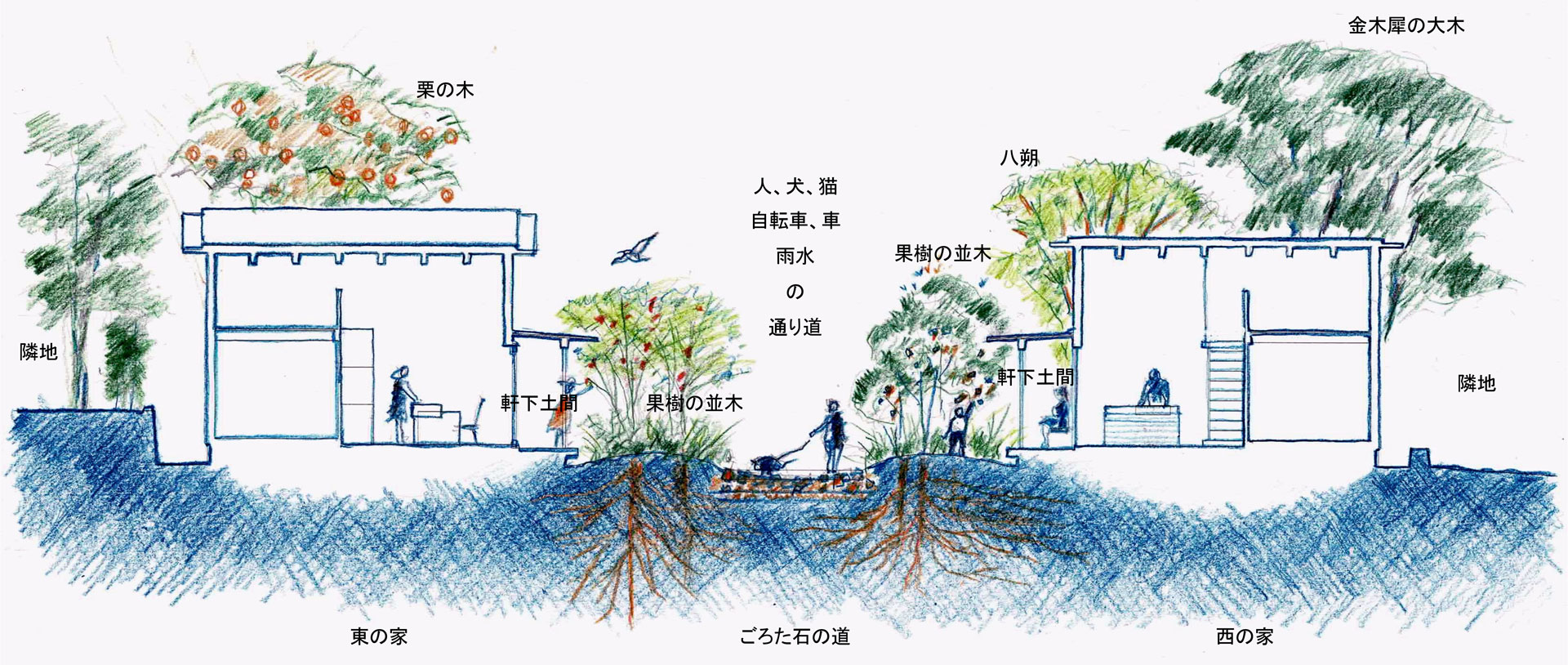 image cross section view